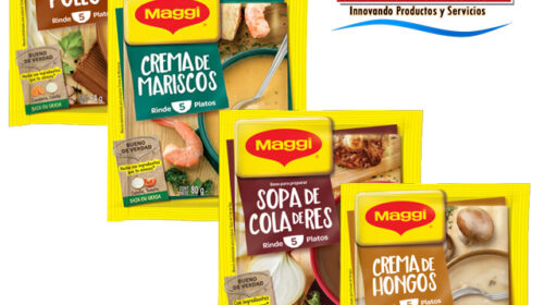 sopas magui diferentes